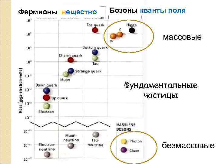 Фермионы вещество Бозоны кванты поля массовые Фундаментальные частицы безмассовые 
