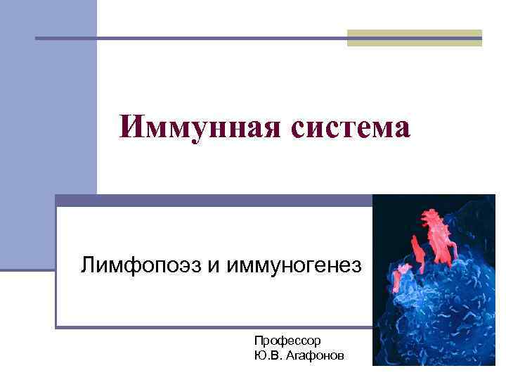 Иммунная система Лимфопоэз и иммуногенез Профессор Ю. В. Агафонов 