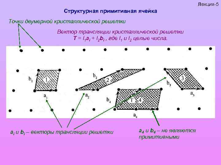 Лекция-5 Структурная примитивная ячейка Точки двумерной кристаллической решетки Вектор трансляции кристаллической решетки Т =