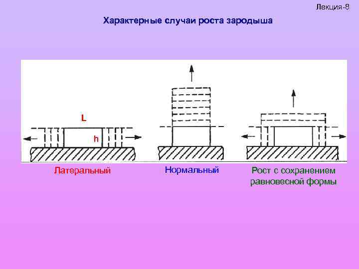 Лекция-8 Характерные случаи роста зародыша L h Латеральный Нормальный Рост с сохранением равновесной формы
