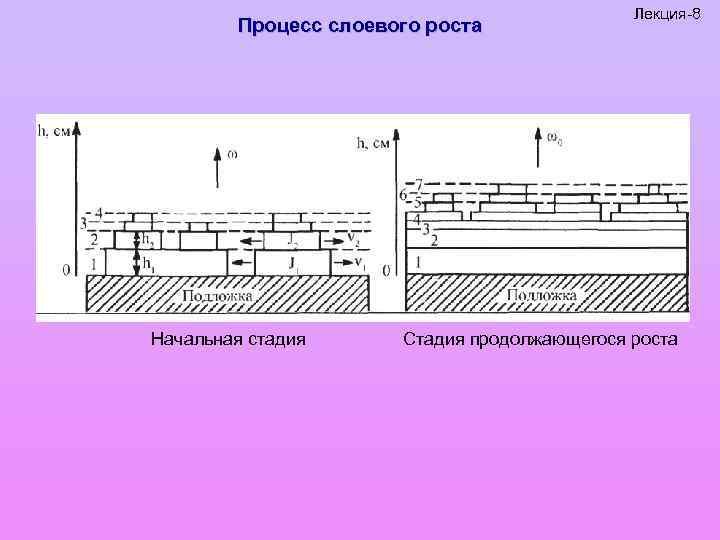 Процесс слоевого роста Начальная стадия Лекция-8 Стадия продолжающегося роста 