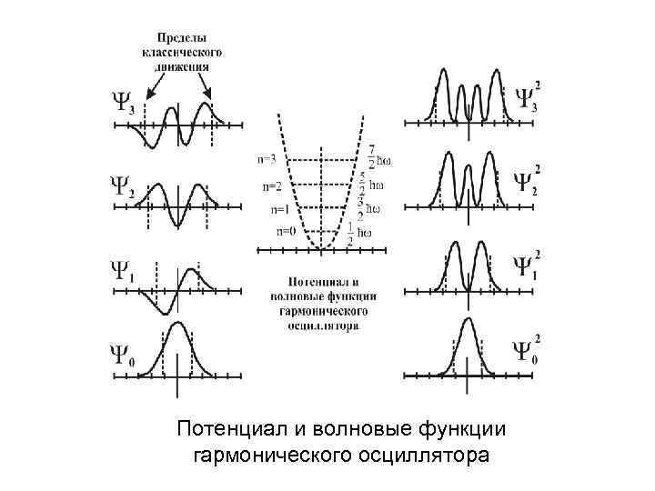 Потенциал и волновые функции гармонического осциллятора 