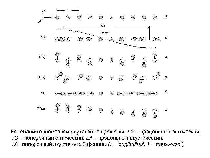 а x а z y /2 k LO б TO(x) в TO(y) г LA
