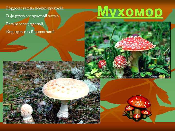 Гордо встал на ножке крепкой В фартучке и красной кепке Раскрасавец удалой, Вид приятный