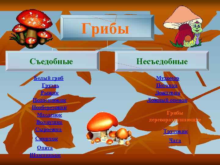 Грибы Съедобные Белый гриб Груздь Рыжик Подосиновик Подберезовик Масленок Волнушка Сыроежка Сморчок Опята Шампиньон