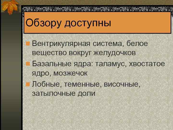 Обзору доступны n Вентрикулярная система, белое вещество вокруг желудочков n Базальные ядра: таламус, хвостатое