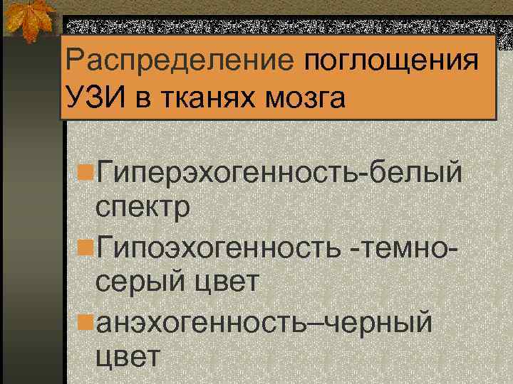 Распределение поглощения УЗИ в тканях мозга n. Гиперэхогенность-белый спектр n. Гипоэхогенность -темносерый цвет nанэхогенность–черный