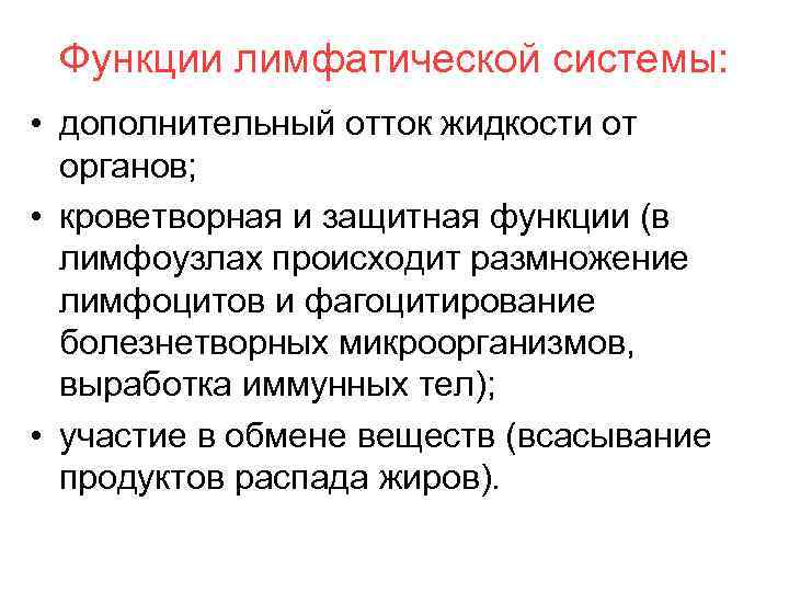 Функции лимфатической системы. Функции лимфоидных органов. Лимфатическая ткань функции. Функции вторичных лимфоидных органов. Функции лимфатической системы физиология.