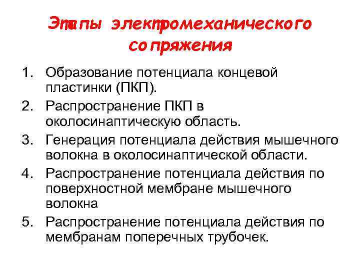 Этапы электромеханического сопряжения 1. Образование потенциала концевой пластинки (ПКП). 2. Распространение ПКП в околосинаптическую