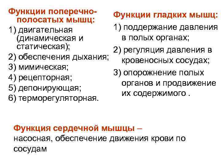 Функции поперечнополосатых мышц: 1) двигательная (динамическая и статическая); 2) обеспечения дыхания; 3) мимическая; 4)