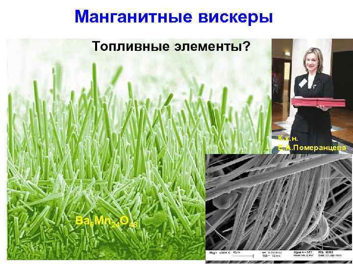 Манганитные вискеры Топливные элементы? К. х. н. Е. А. Померанцева Ba 6 Mn 24