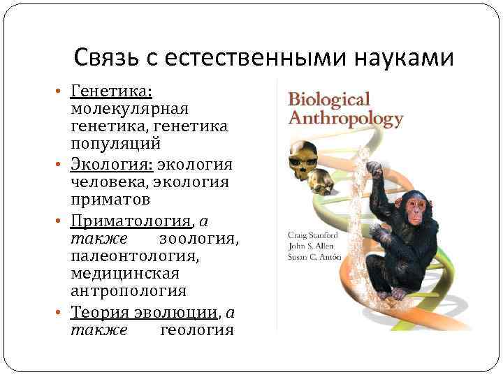 Связь с естественными науками • Генетика: молекулярная генетика, генетика популяций • Экология: экология человека,
