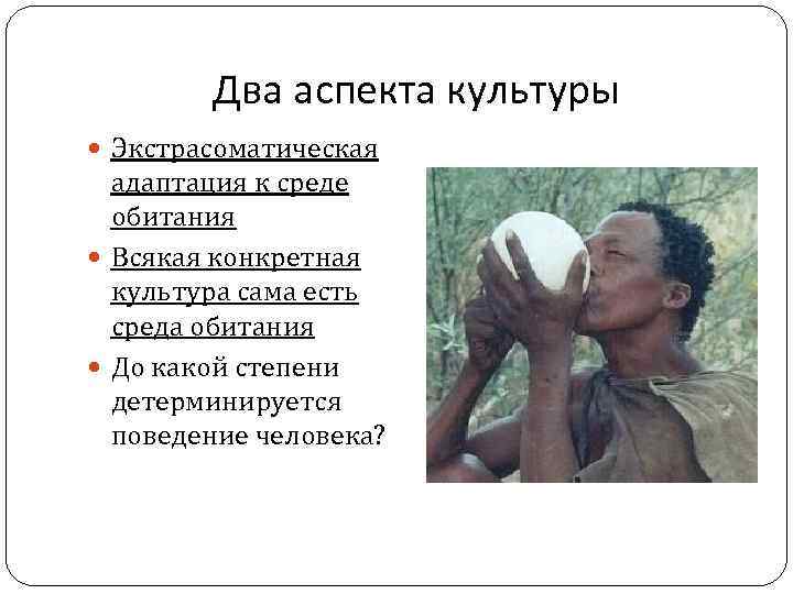 Два аспекта культуры Экстрасоматическая адаптация к среде обитания Всякая конкретная культура сама есть среда