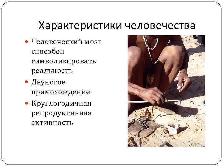 Характеристики человечества Человеческий мозг способен символизировать реальность Двуногое прямохождение Круглогодичная репродуктивная активность 