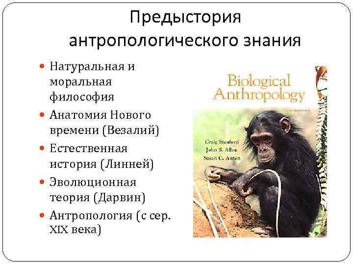 Предыстория антропологического знания Натуральная и моральная философия Анатомия Нового времени (Везалий) Естественная история (Линней)