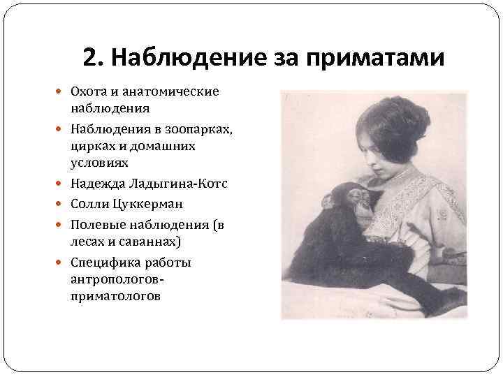 2. Наблюдение за приматами Охота и анатомические наблюдения Наблюдения в зоопарках, цирках и домашних