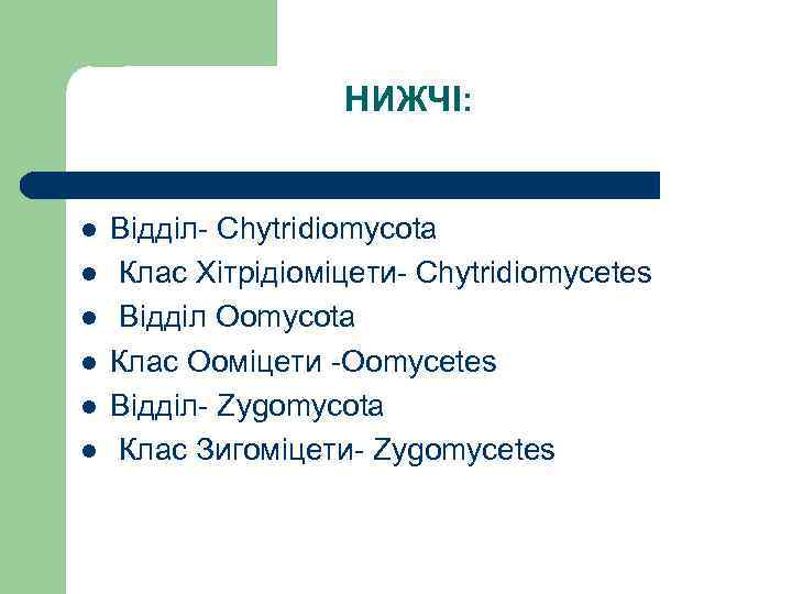 НИЖЧІ: l l l Відділ- Chytridiomycota Клас Хітрідіоміцети- Chytridiomycetes Відділ Oomycota Клас Ооміцети -Oomycetes