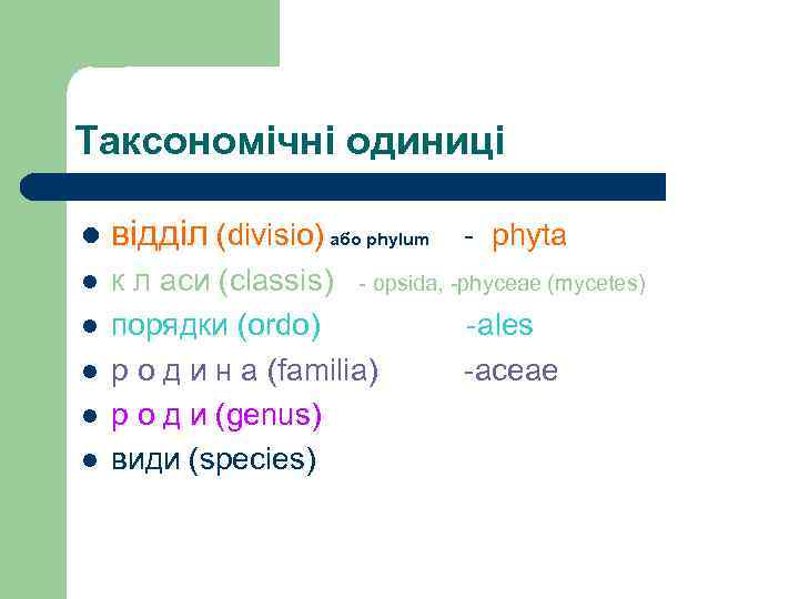 Таксономічні одиниці l відділ (divisio) або рhуlum - рhyta l к л аси (classis)