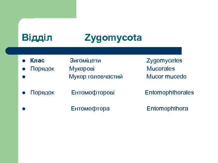 Відділ l l Клас Порядок l l l Порядок Zygomycota Зигоміцети Мукорові Мукор головчастий