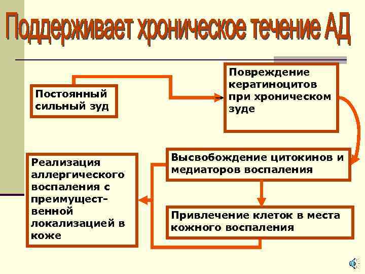 Постоянный сильный зуд Реализация аллергического воспаления с преимущественной локализацией в коже Повреждение кератиноцитов при