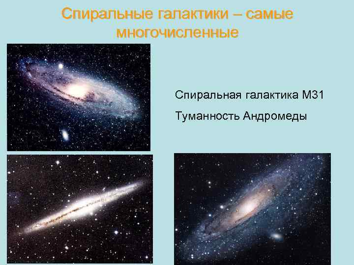 Спиральные галактики – самые многочисленные Спиральная галактика М 31 Туманность Андромеды 