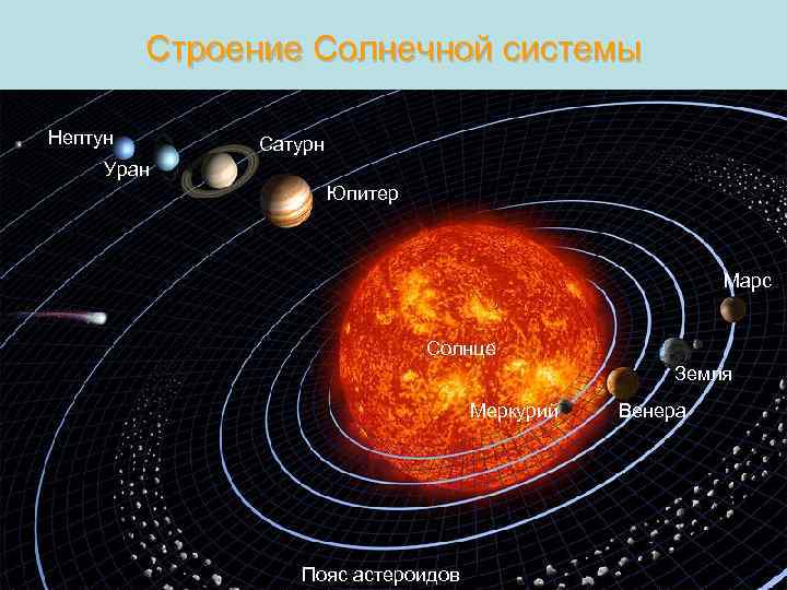 Строение Солнечной системы Нептун Сатурн Уран Юпитер Марс Солнце Земля Меркурий Пояс астероидов Венера