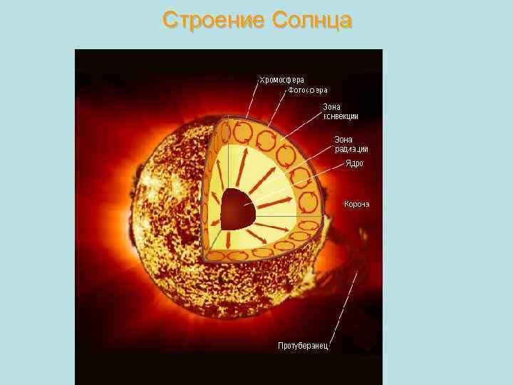 Строение Солнца 