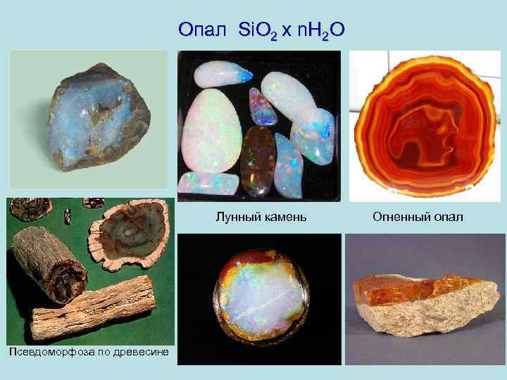 Опал Si. O 2 х n. Н 2 О Лунный камень Псевдоморфоза по древесине