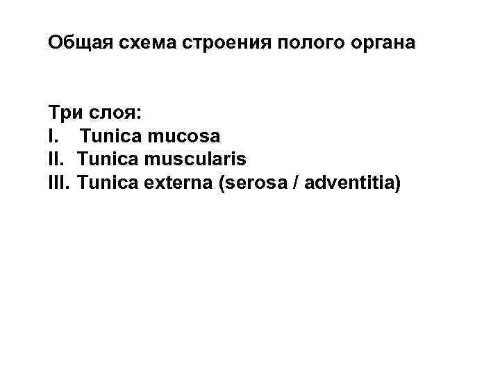 Общая схема строения полого органа Три слоя: I. Tunica mucosa II. Tunica muscularis III.