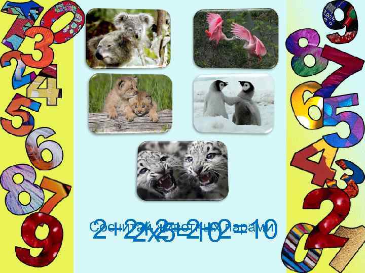 2+2+2=10 2 х5=10 Сосчитай животных парами 