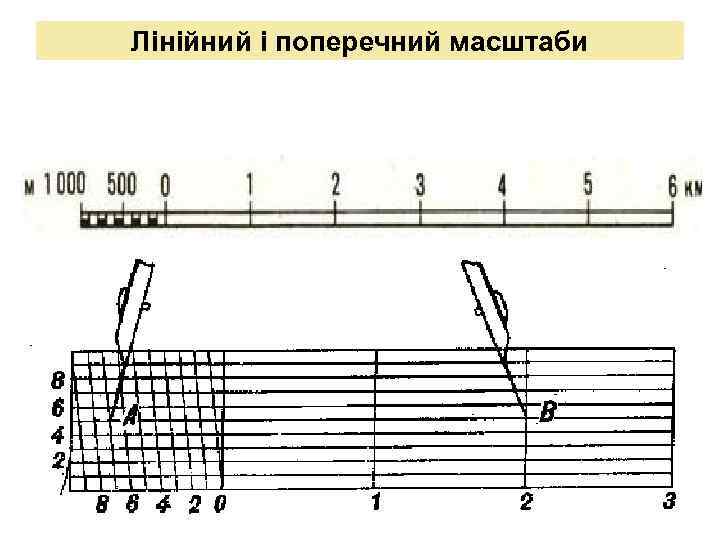 Лінійний і поперечний масштаби 