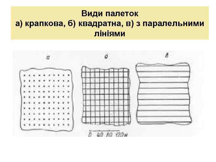 Види палеток а) крапкова, б) квадратна, в) з паралельними лініями 