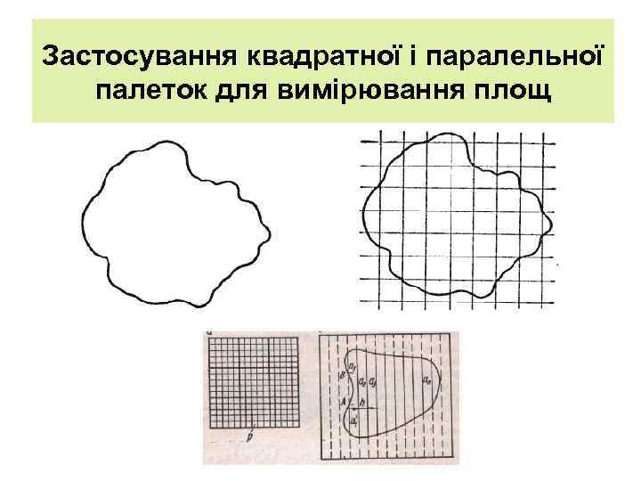 Застосування квадратної і паралельної палеток для вимірювання площ 