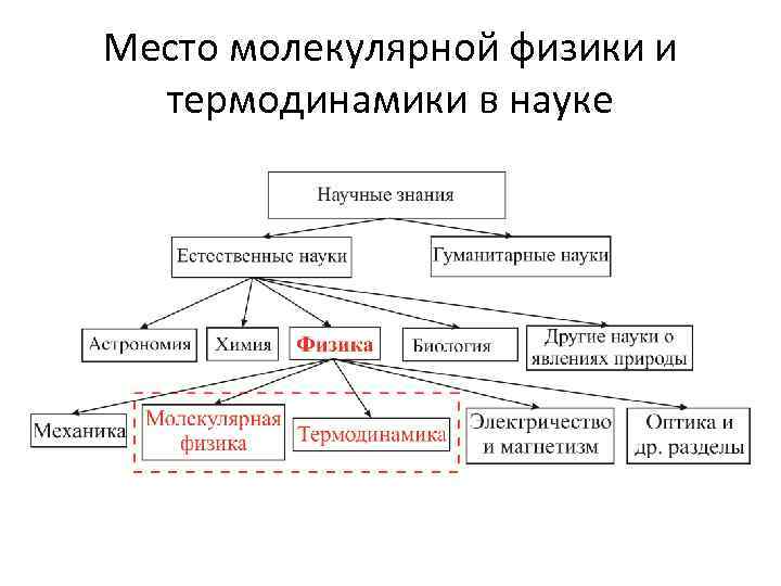 Место молекулярной физики и термодинамики в науке 