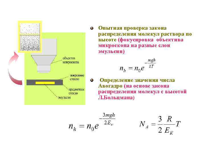 Опытная проверка закона распределения молекул раствора по высоте (фокусировка объектива микроскопа на разные слои