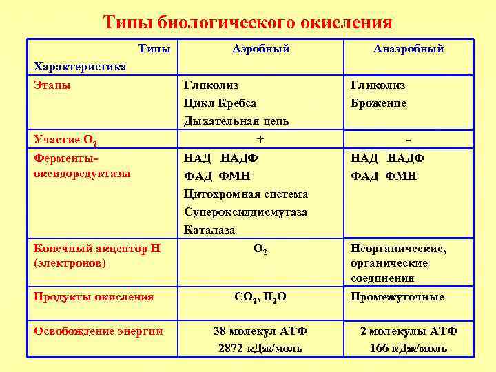 Биологическое окисление результат