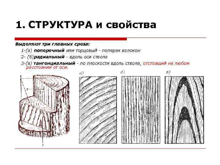 1. СТРУКТУРА и свойства Выделяют три главных среза: 1 -(а) поперечный или торцовый -