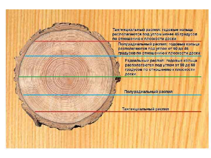 1. СТРУКТУРА и свойства 