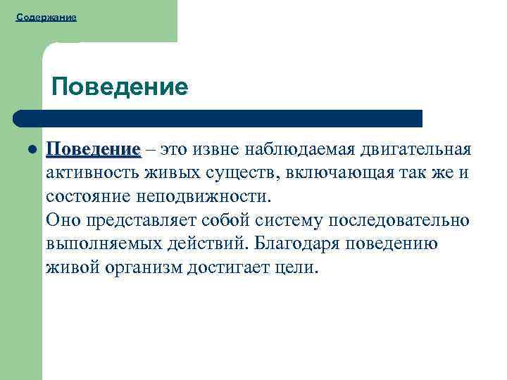 Поведение это в педагогике. Комфортное поведение это в педагогике. Живая активность.