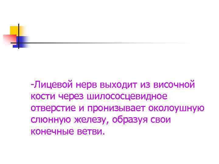 -Лицевой нерв выходит из височной кости через шилососцевидное отверстие и пронизывает околоушную слюнную железу,