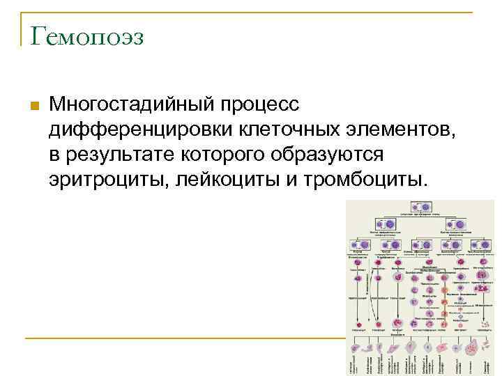 Абстракция преобразование пластической формы в геометризированную