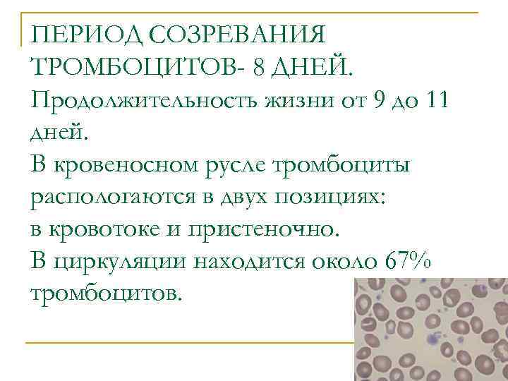 ПЕРИОД СОЗРЕВАНИЯ ТРОМБОЦИТОВ- 8 ДНЕЙ. Продолжительность жизни от 9 до 11 дней. В кровеносном