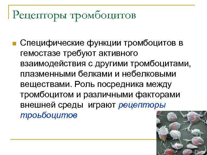 Рецепторы тромбоцитов n Специфические функции тромбоцитов в гемостазе требуют активного взаимодействия с другими тромбоцитами,