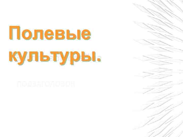 Полевые культуры. 