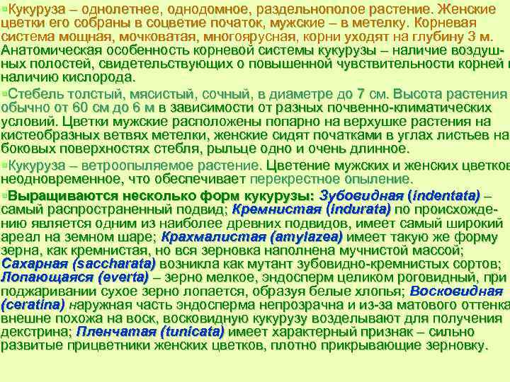 §Кукуруза – однолетнее, однодомное, раздельнополое растение. Женские цветки его собраны в соцветие початок, мужские