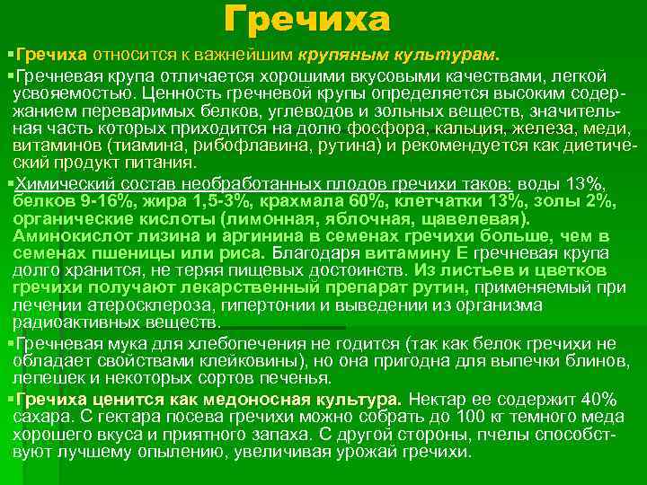 Культурой не является. Культурные растения гречиха доклад. К какой культуре относится гречиха. Сообщение о гречихе. Рутин получаемые из гречихи.