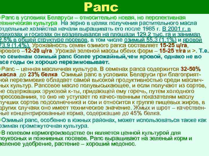 Рапс §Рапс в условиях Беларуси – относительно новая, но перспективная техническая культура. На зерно