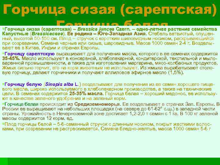 Горчица сизая (сарептская) Горчица белая §Горчица сизая (сарептская) – Brassica juncea Czern. – одно-летнее