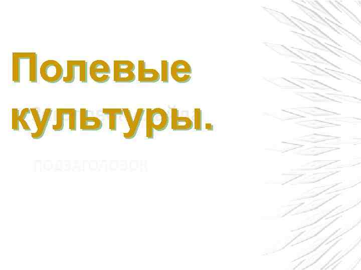 Полевые культуры. 