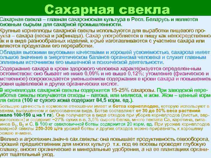 Традиционный выбор десерта из корнеплодов с невысоким содержанием сахаров